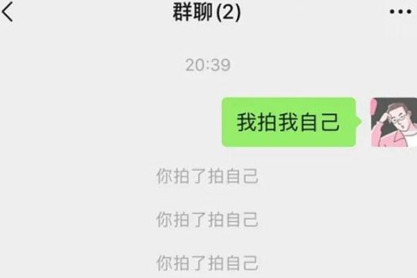 对方拍了拍你是什么意思