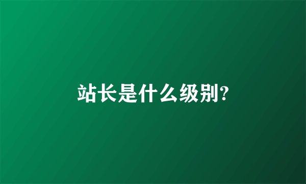 站长是什么级别?