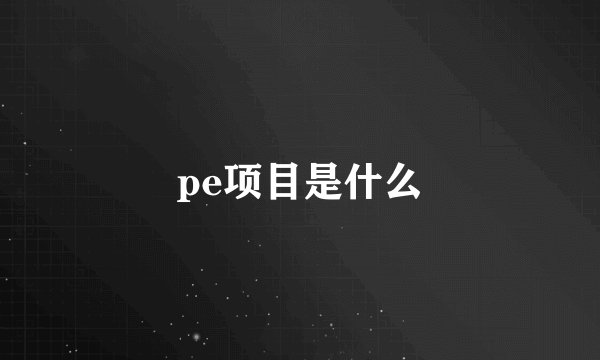 pe项目是什么
