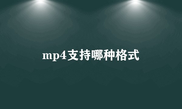 mp4支持哪种格式