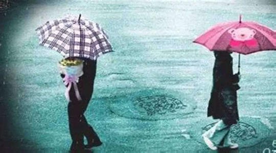 家里红旗不倒外面彩旗飘飘什么意思