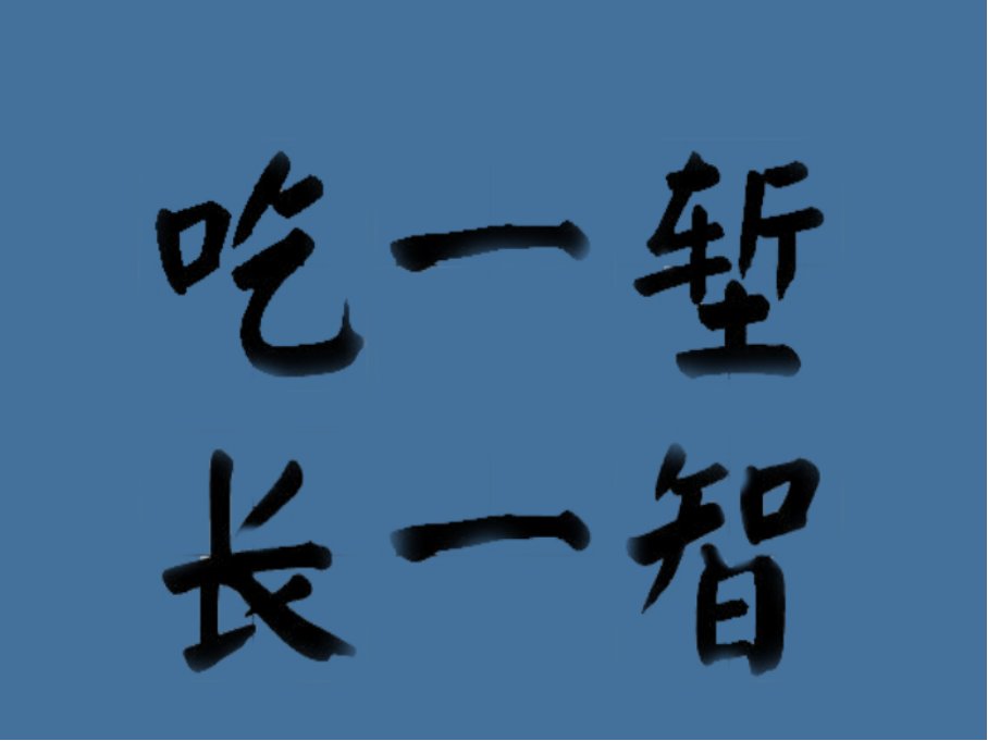 吃一堑长一智的意思是什么意思