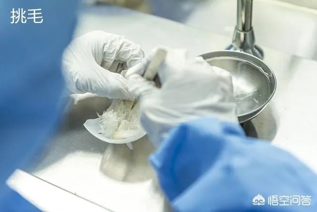 即食燕窝价格对比