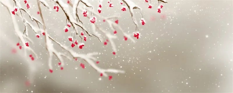 北京迎2022年初雪是怎么回事 北京迎2022年初雪