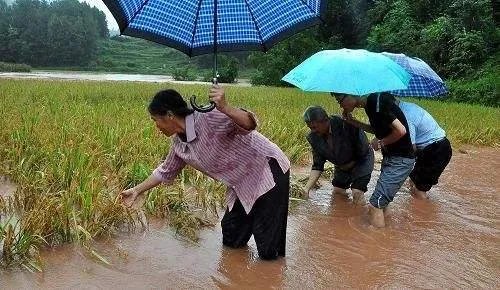 近日7省市将有大到暴雨，在暴雨来临前我们该做哪些准备？