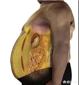 如何才能消除将军肚？