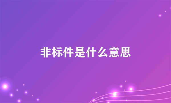 非标件是什么意思