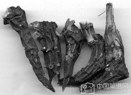 草乌是什么 草乌炖猪脚究竟是美味还是毒药？