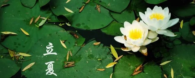 立夏的含义是什么意思