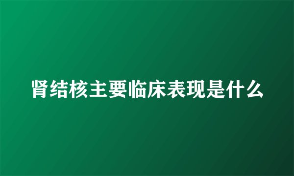 肾结核主要临床表现是什么