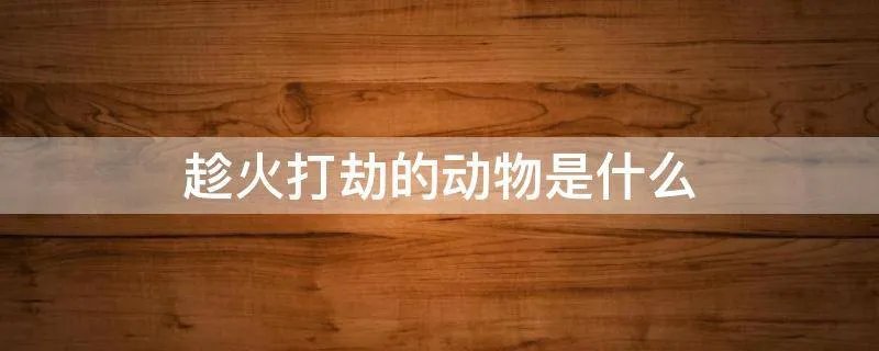 趁火打劫的动物是什么