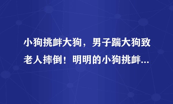 小狗挑衅大狗，男子踹大狗致老人摔倒！明明的小狗挑衅，对方为何如此极端？