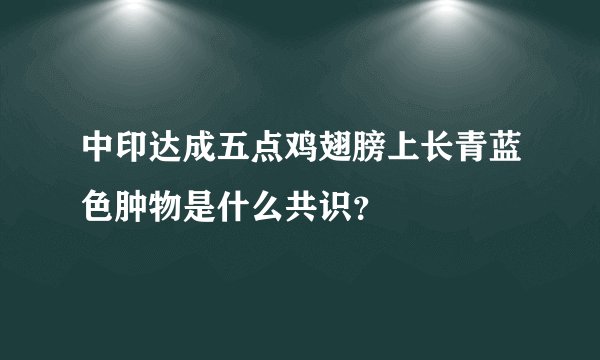 中印达成五点鸡翅膀上长青蓝色肿物是什么共识？