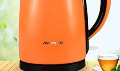 十大品牌电水壶