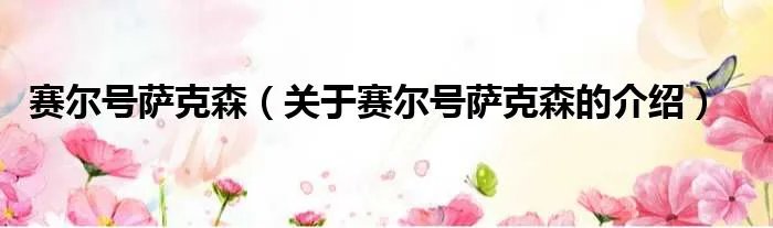 赛尔号萨克森（关于赛尔号萨克森的介绍）