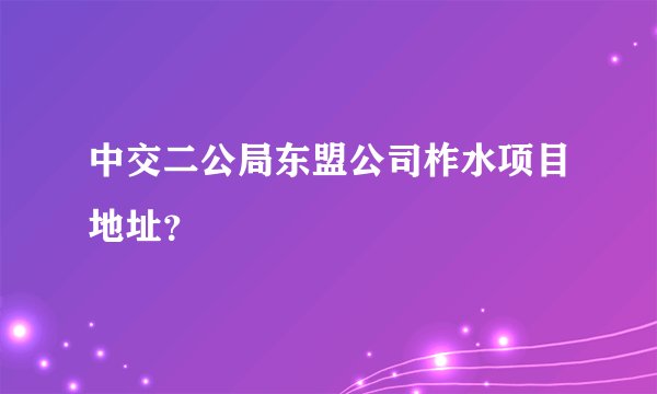 中交二公局东盟公司柞水项目地址？