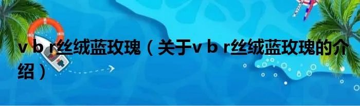 v b r丝绒蓝玫瑰（关于v b r丝绒蓝玫瑰的介绍）