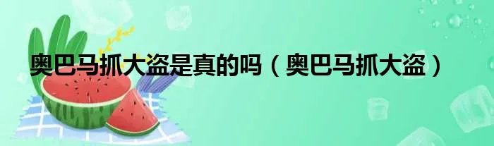 奥巴马抓大盗是真的吗（奥巴马抓大盗）