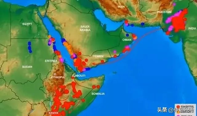 巴基斯坦蝗灾怎么样了？最近怎么感觉没人提及？