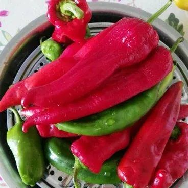 自己做辣椒酱怎么做呀？