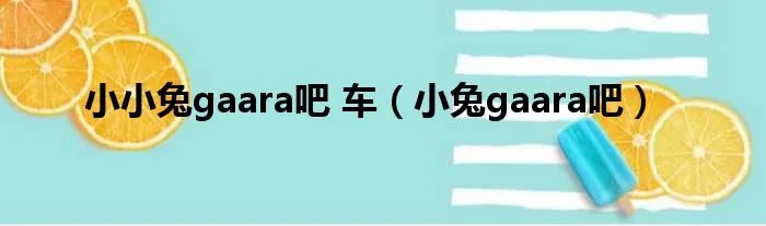 小小兔gaara吧 车（小兔gaara吧）