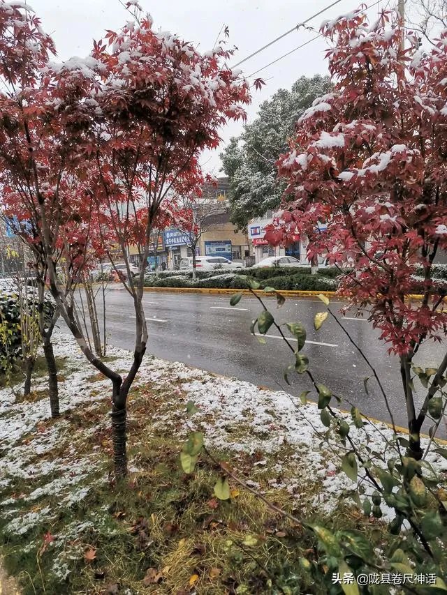 你见过身边有人姓仝（tong）吗？