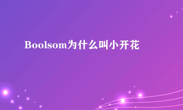 Boolsom为什么叫小开花