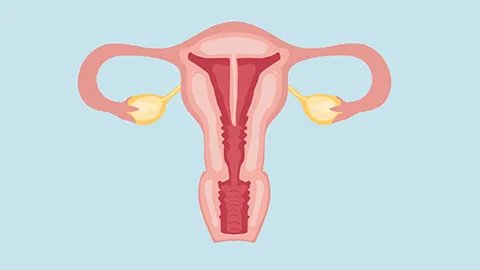 避孕环下移要怎么办