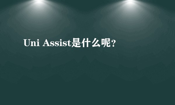 Uni Assist是什么呢？