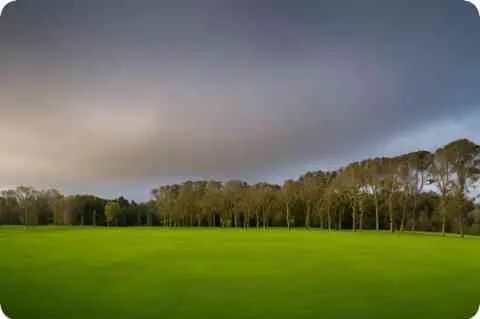 供货方式有哪几种