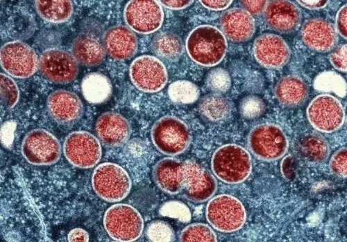 美国纽约州进入“灾难紧急状态”，这意味着什么？