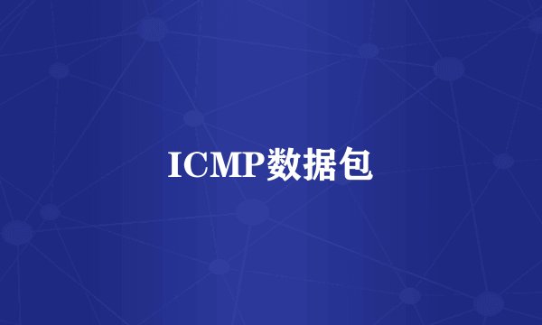 ICMP数据包