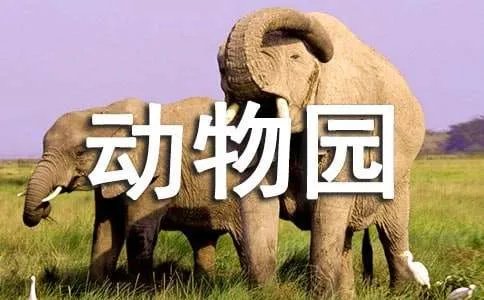 小小动物园作文400字