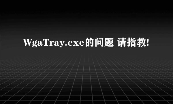WgaTray.exe的问题 请指教!