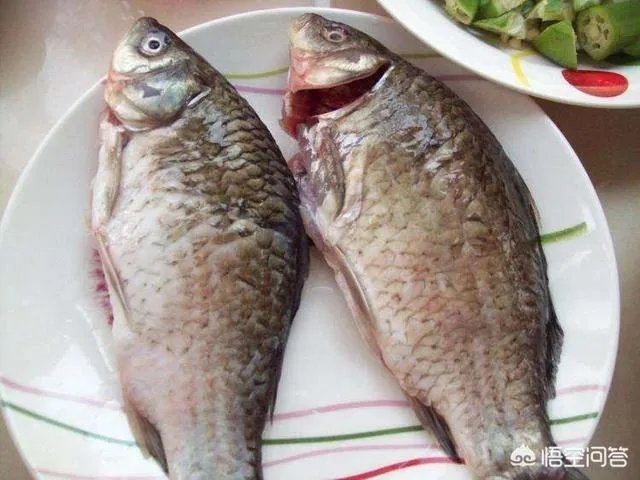 怎样熬鲫鱼汤？