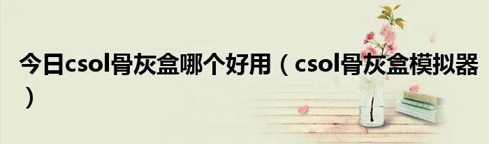 今日csol骨灰盒哪个好用（csol骨灰盒模拟器）