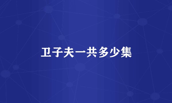 卫子夫一共多少集