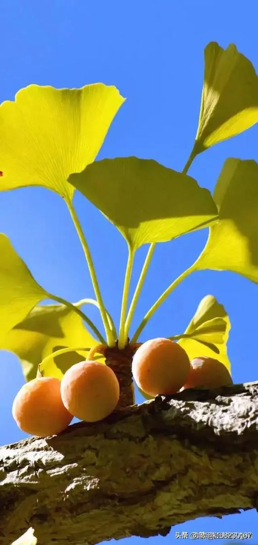 人与人的相处之道是什么？