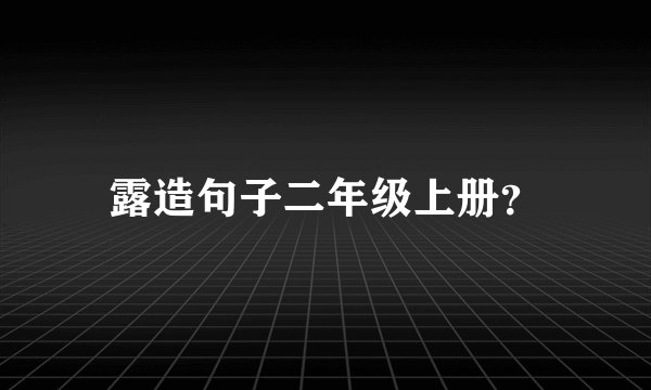 露造句子二年级上册？
