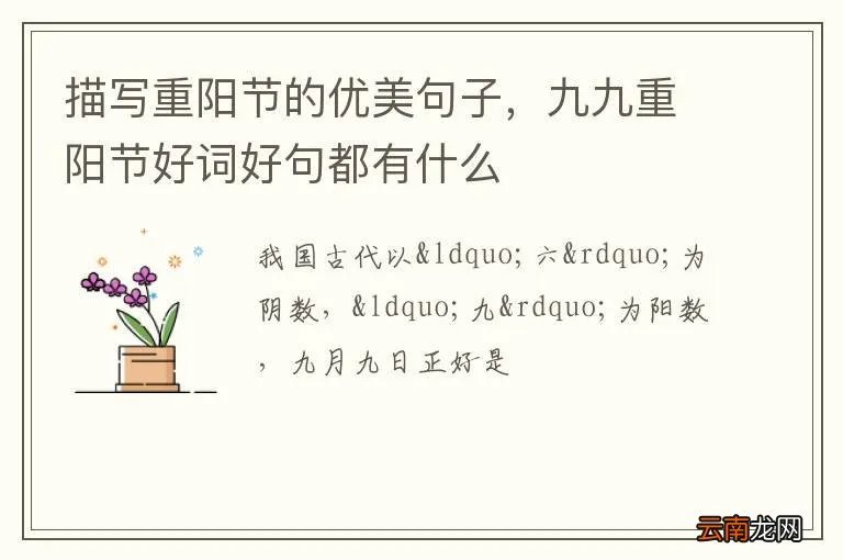 描写重阳节的优美句子，九九重阳节好词好句都有什么