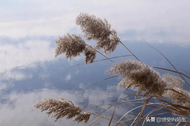 汽车自驾游的感受有哪些？