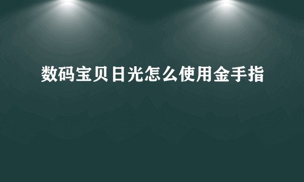 数码宝贝日光怎么使用金手指