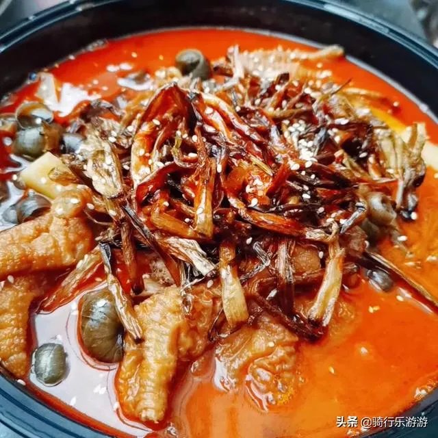 开车旅行是什么感觉呢？