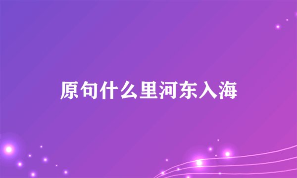 原句什么里河东入海