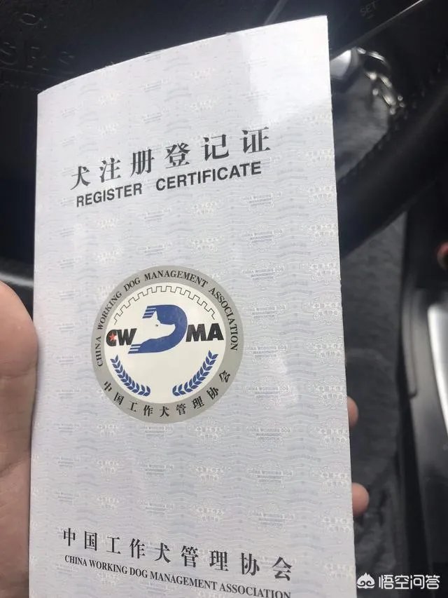 杭州试点“公共遛犬区”，市民终于能带爱犬晒太阳了，你怎么看？