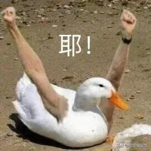 Steam发生意外错误购买未完成怎么解决？