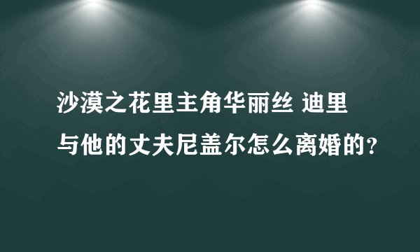 沙漠之花里主角华丽丝 迪里与他的丈夫尼盖尔怎么离婚的？