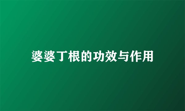 婆婆丁根的功效与作用