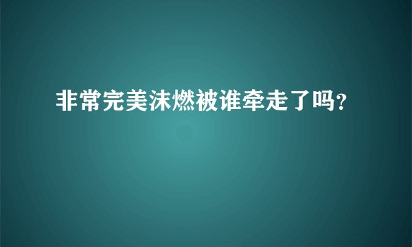 非常完美沫燃被谁牵走了吗？