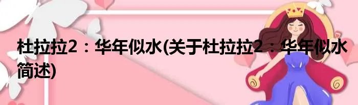 杜拉拉2：华年似水(关于杜拉拉2：华年似水简述)